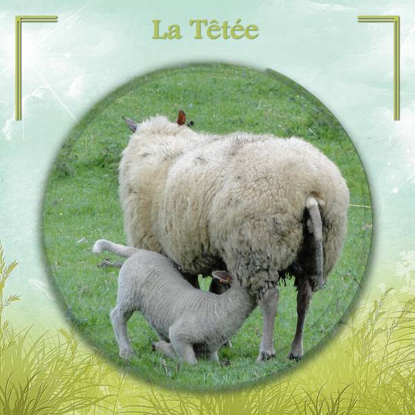 Défi semaine 22 - maman et son petit - Laurette