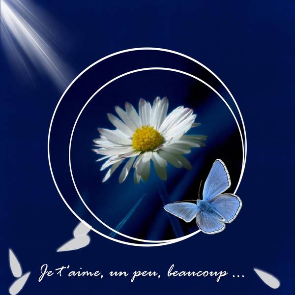 Défi semaine 37 bleu et blanc