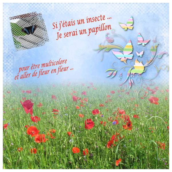 Défi si j'étais un insecte de Gilberte