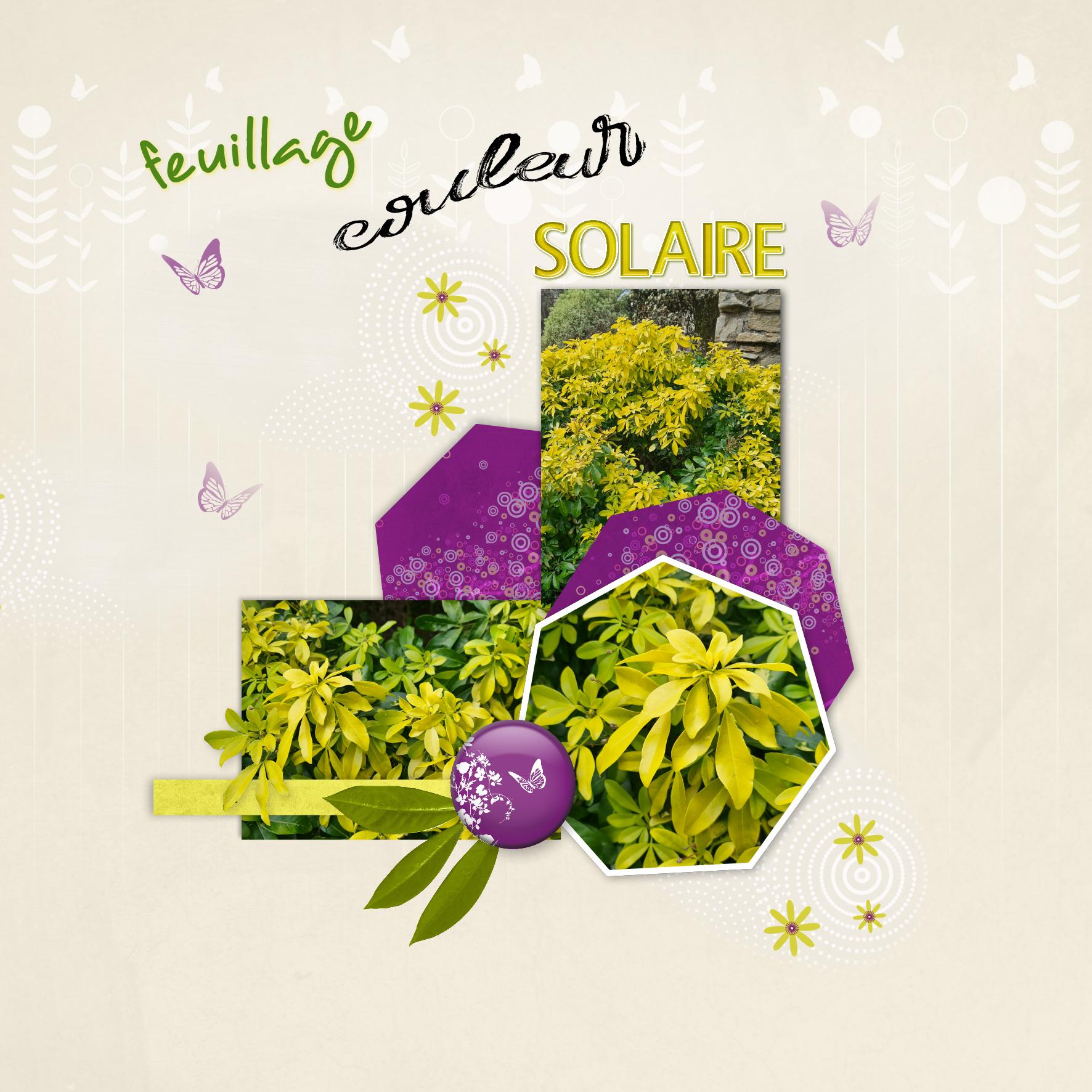 defi sketch feuillage doré.jpg