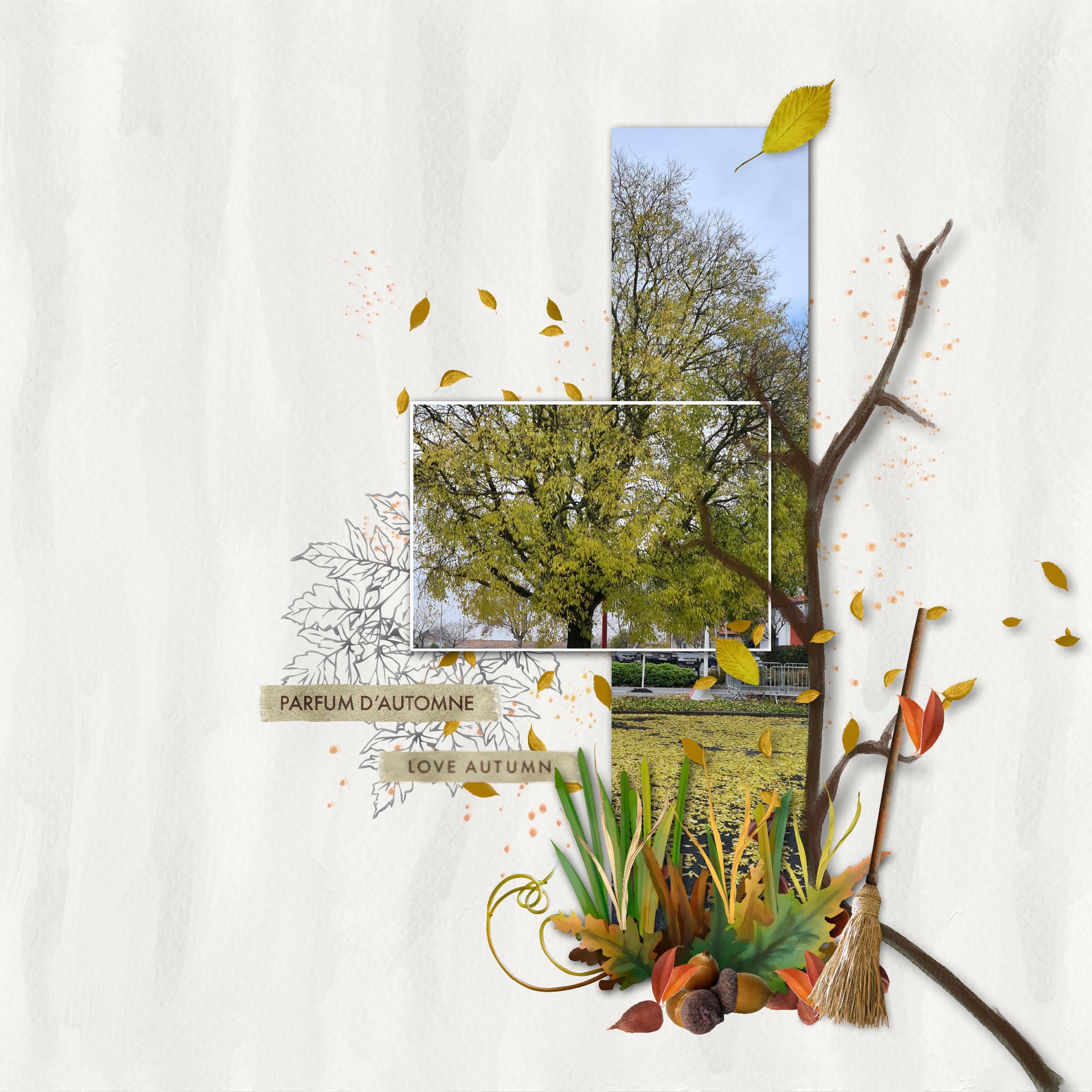 defi sketch nov 22 automne.jpg