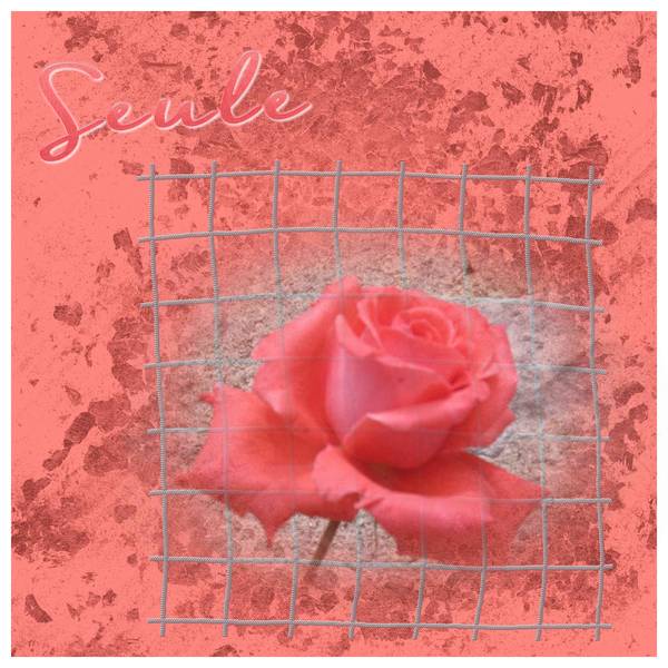 Défi solitude de Gigi