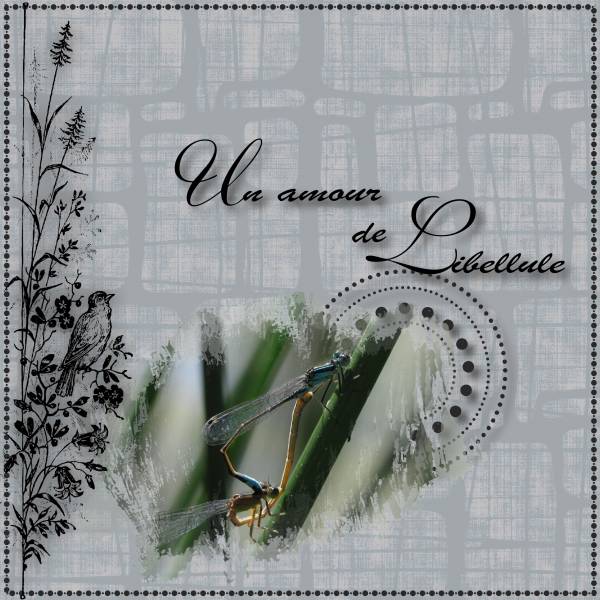 Défi St Valentin Max 2