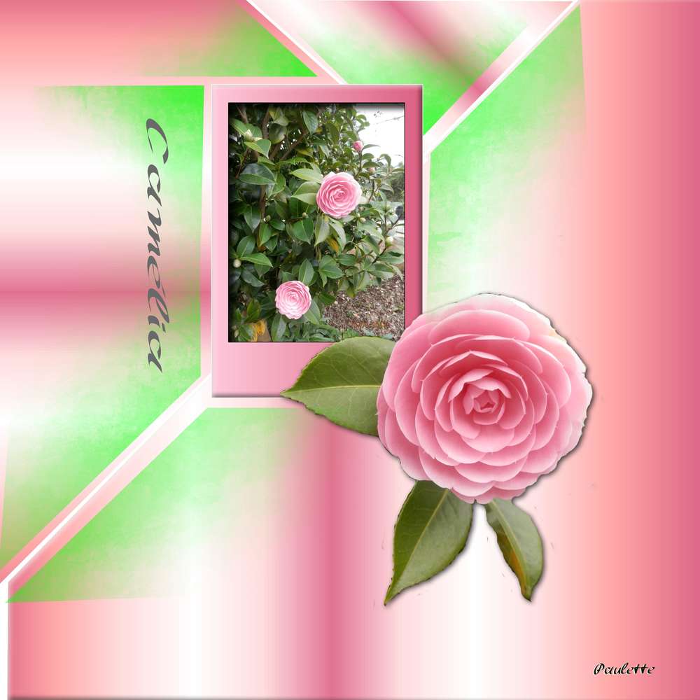 defi tempate mars 2017