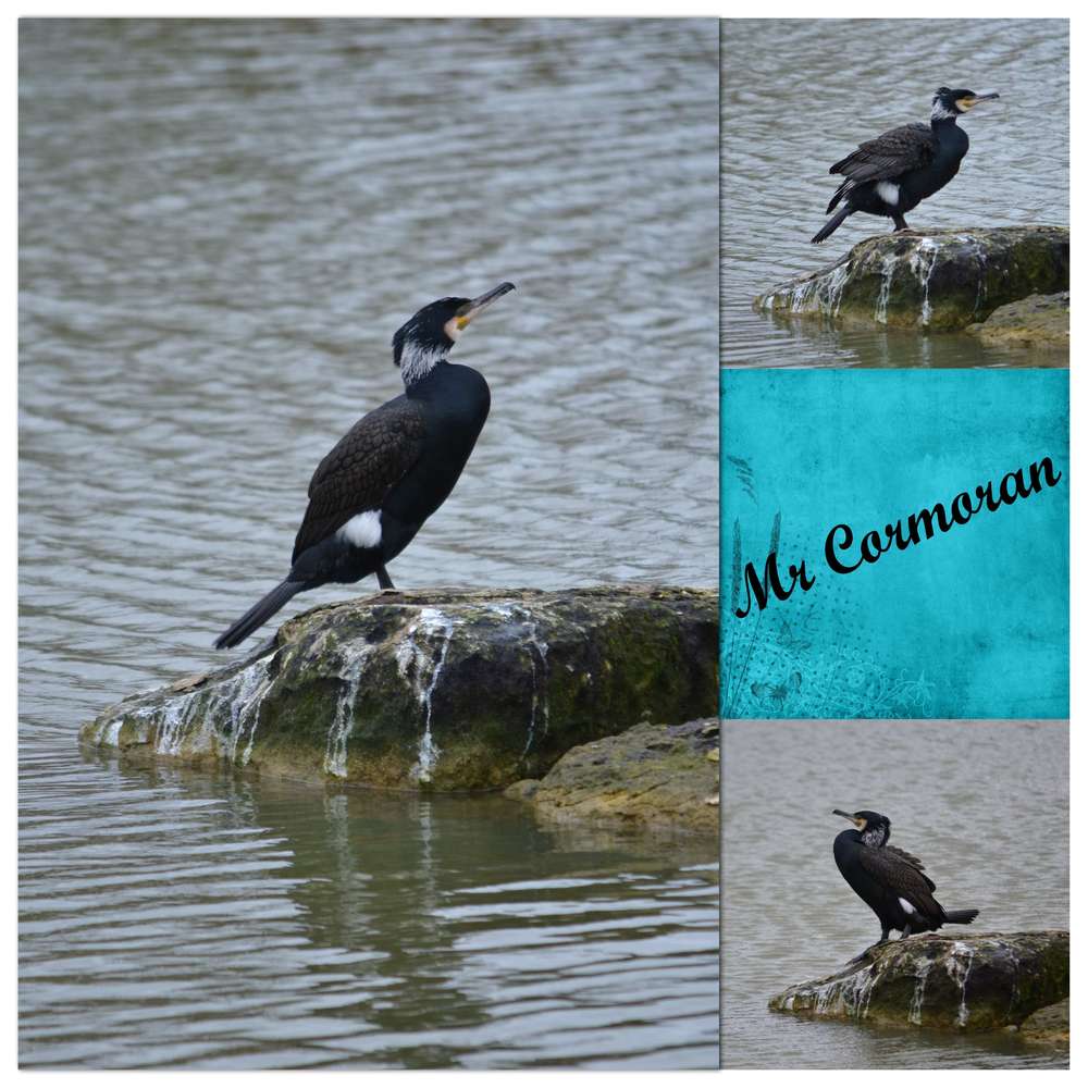 Défi template de Gilberte