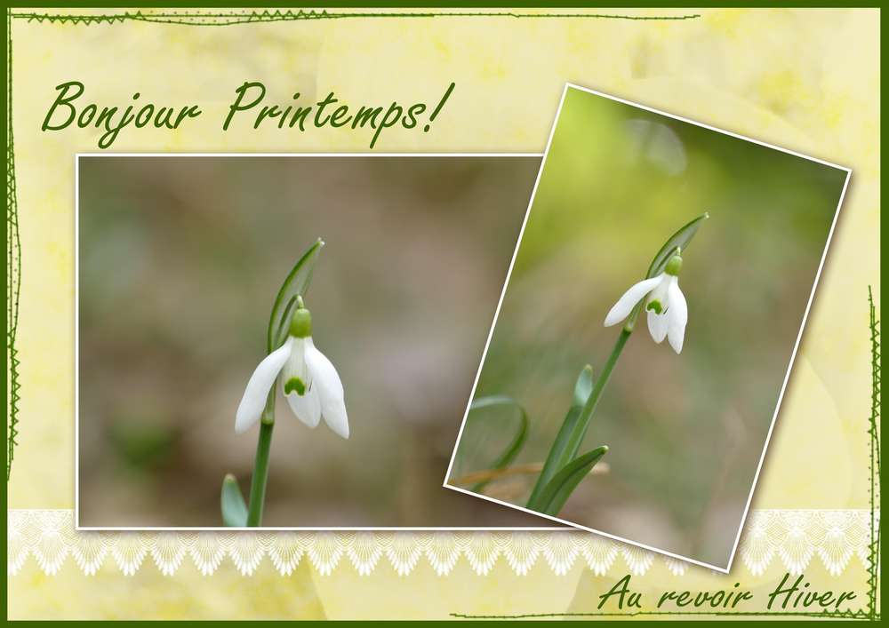 Defi template Giecat  2