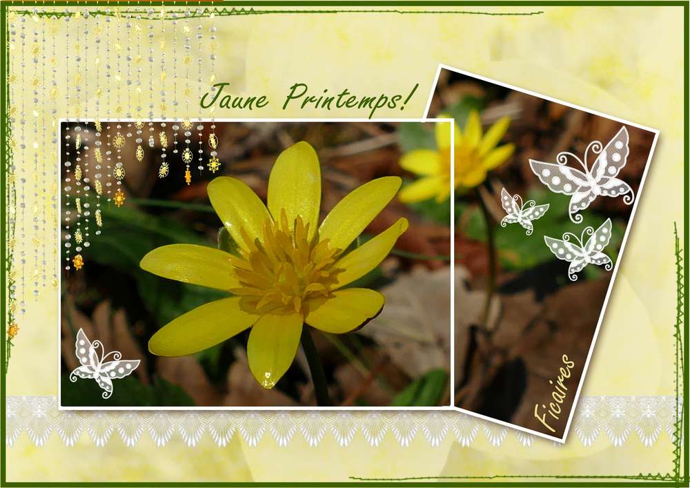 Defi template Giecat  3