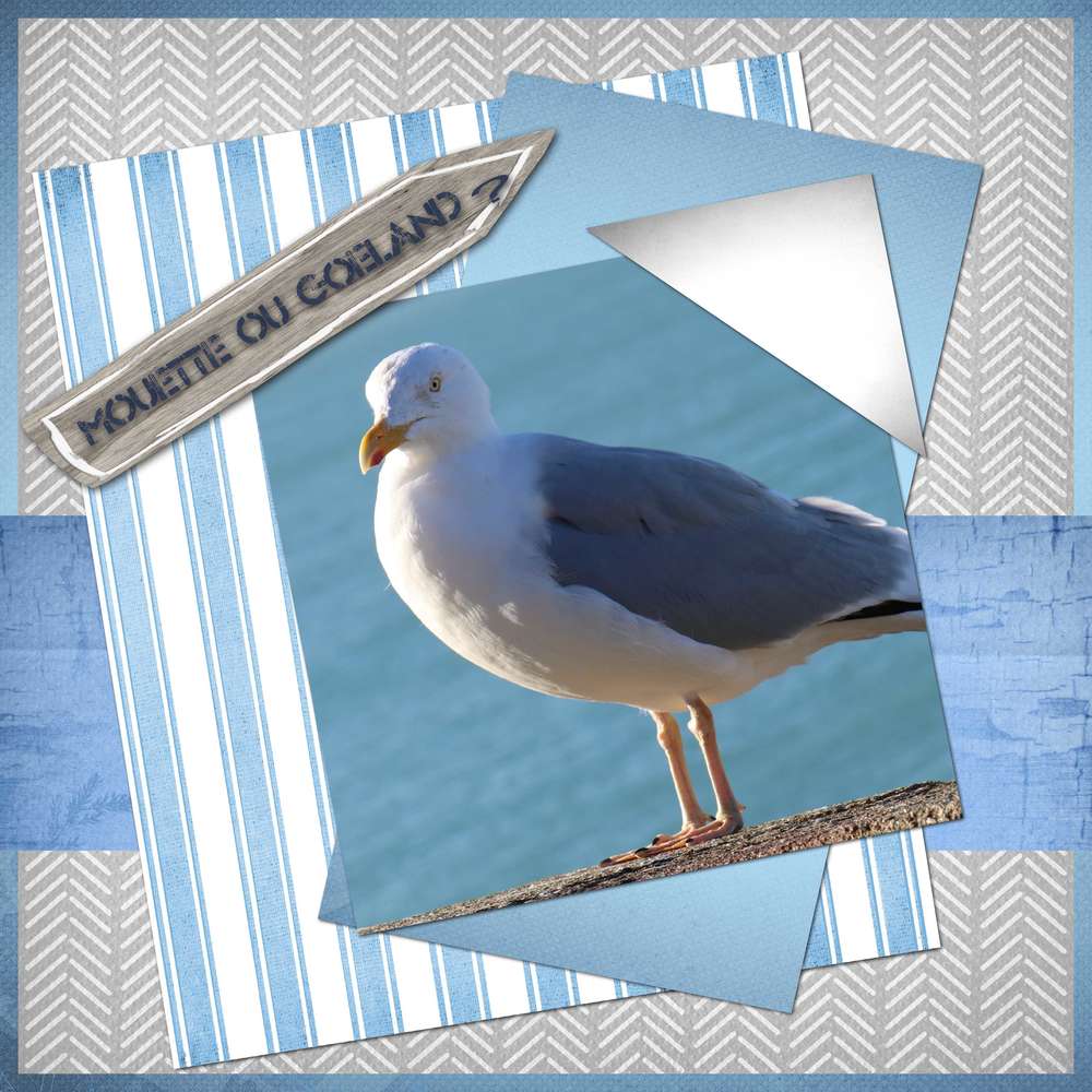 Défi Template Gilberte 02