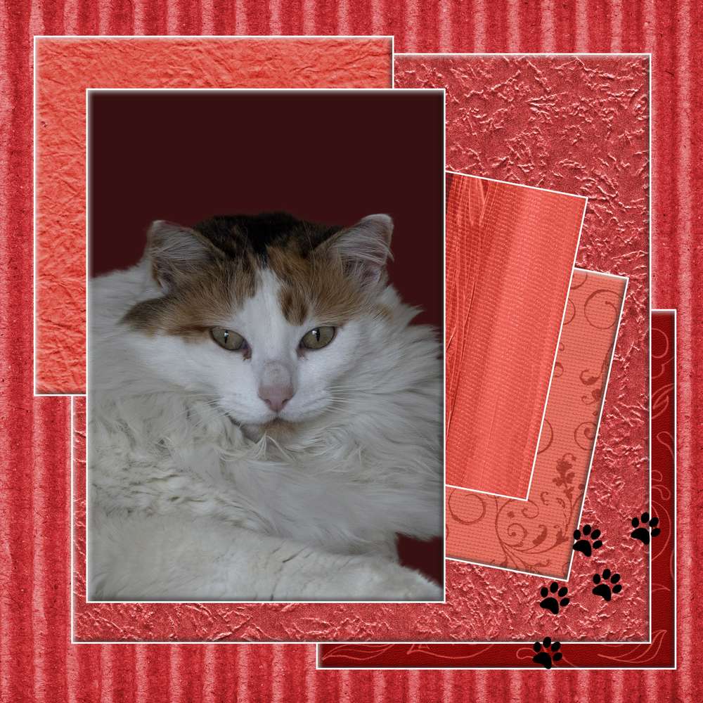 defi-template-gilberte-janvier