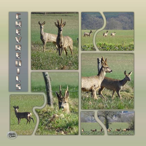 Défi template Kinouliline