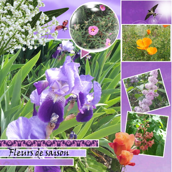 defi template laurette