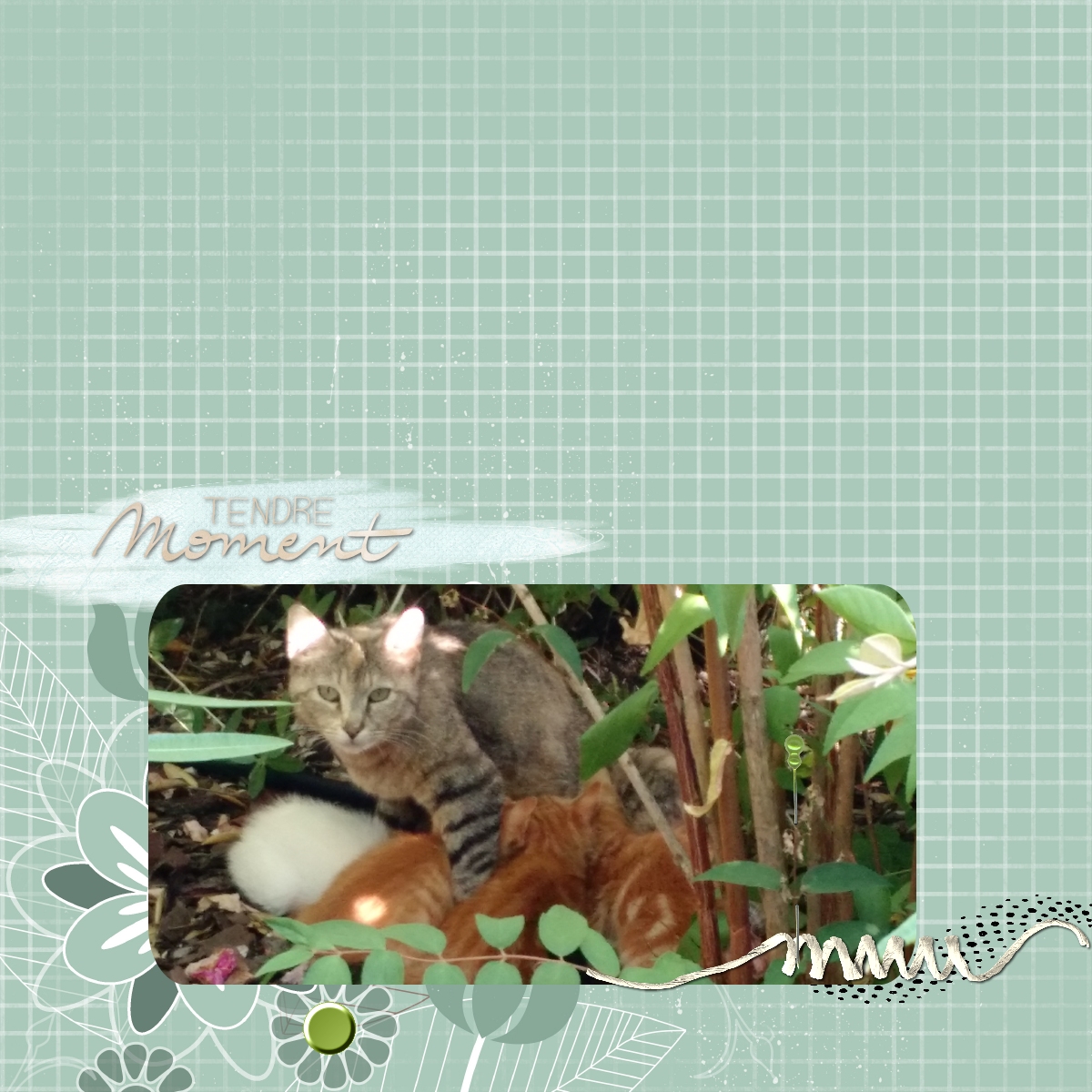 défi tendre moment.jpg