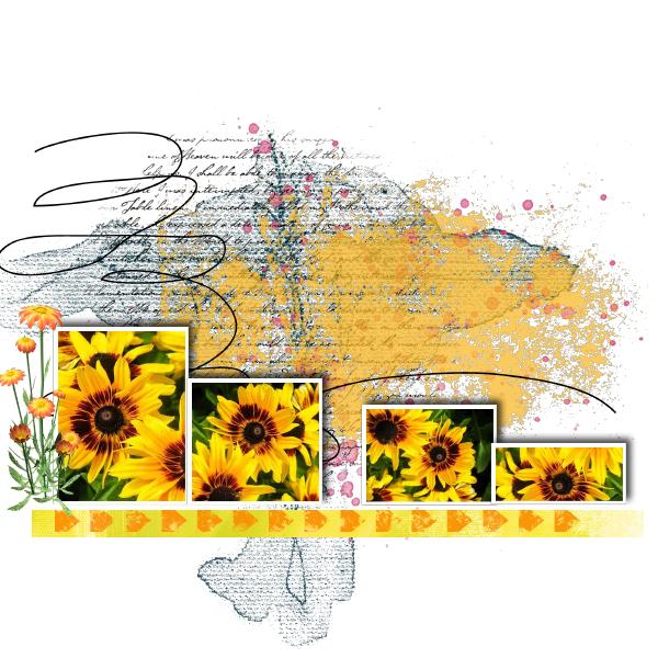 Défi Tournesol Giecat