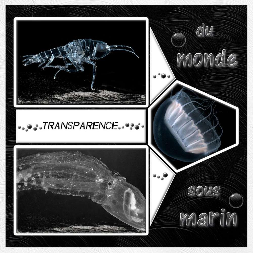 defi transparence Gilberte