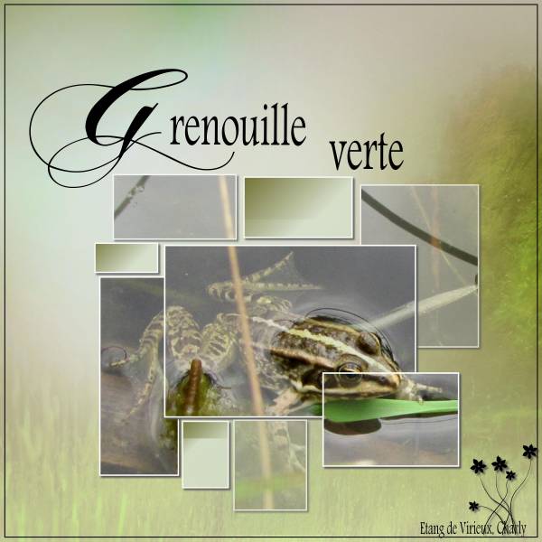 Défi Transparences Moyson