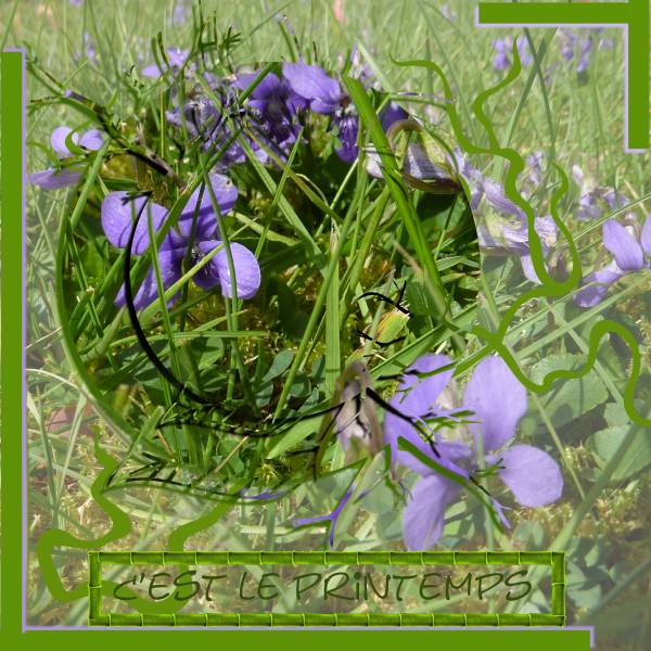 défi vert avec un peu de couleur