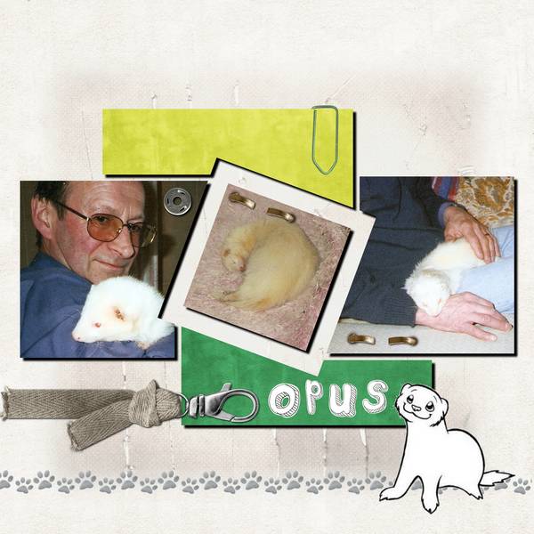 défi_animal_de_compagnie_kinouliline