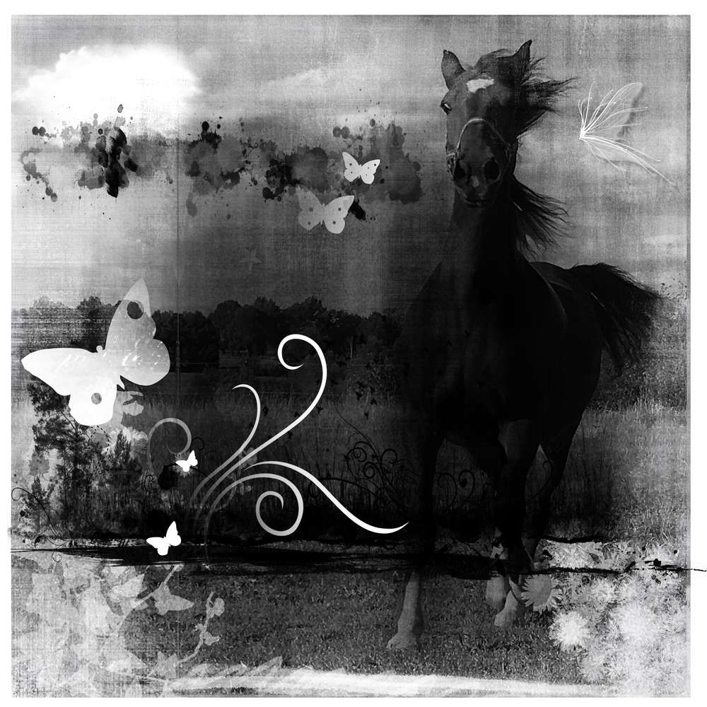 defi_arc_en_ciel_2019