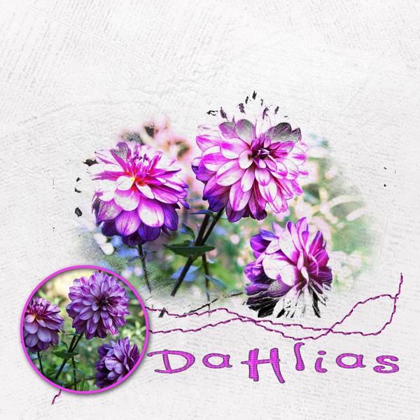 défi_conte_couleurs_pourpre