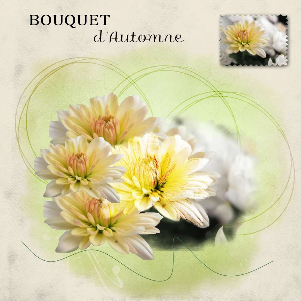 défi_Giecat_photo_imposée