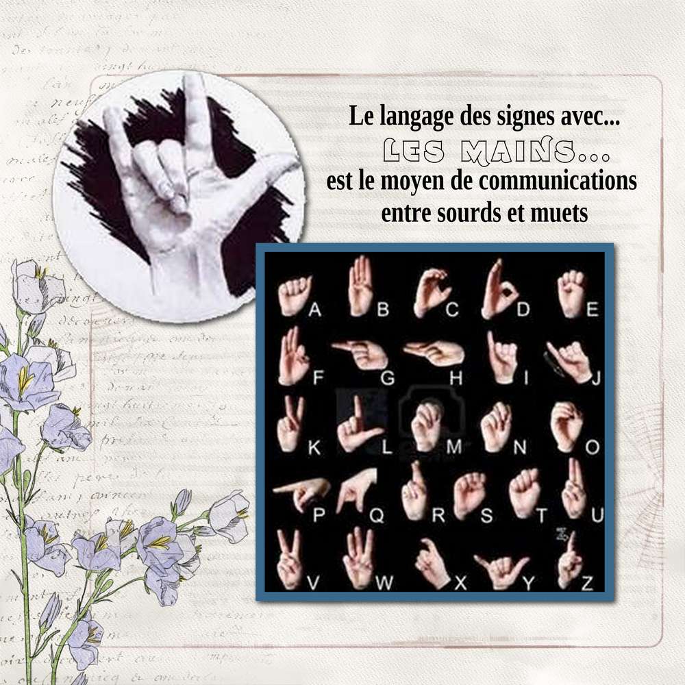 défi_les_mains_Giecat