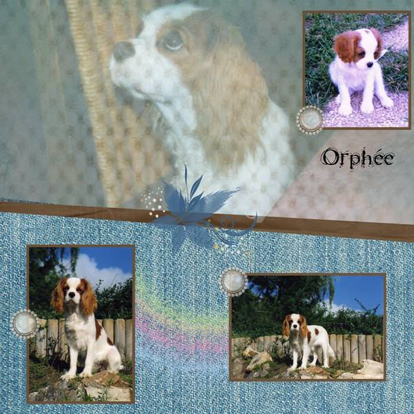 Defi_Martinas_Orph__e