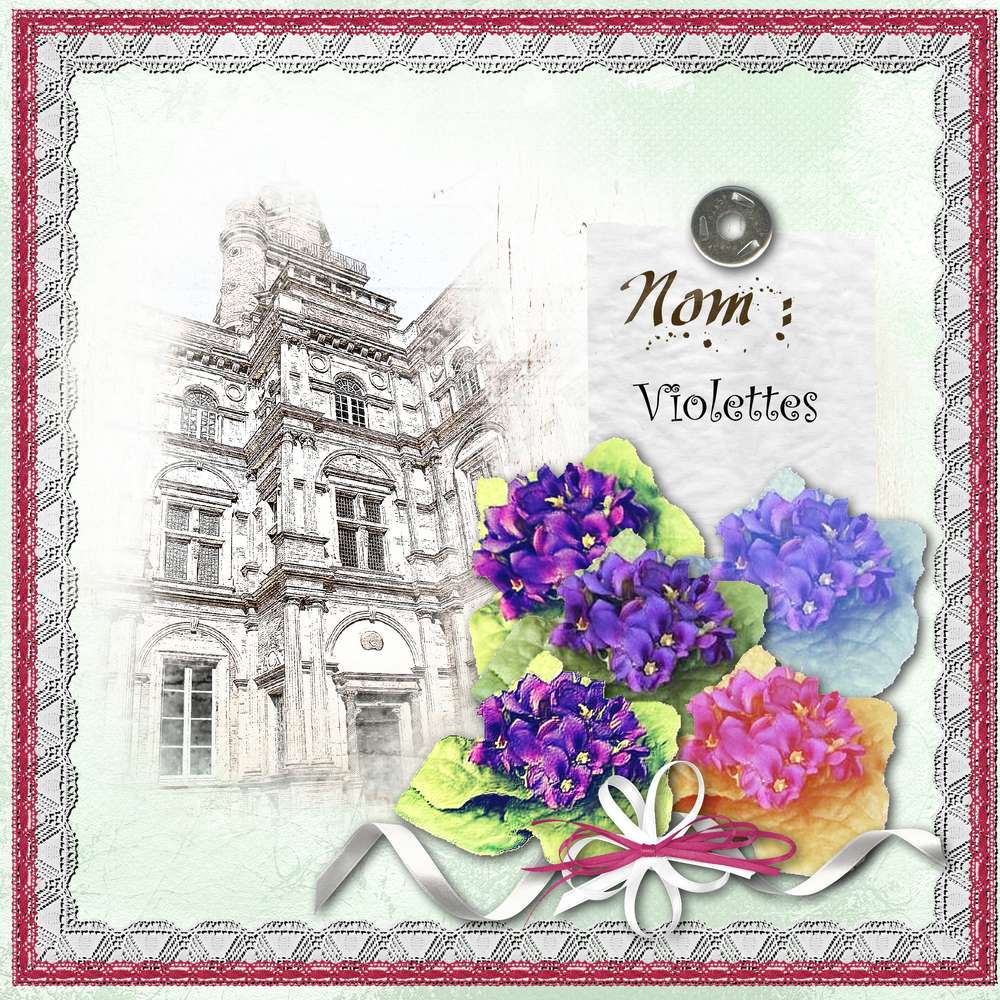 défi_Max_changemement couleurs fleurs