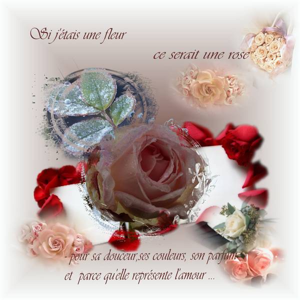 defi_Mimi_de_Saujon1