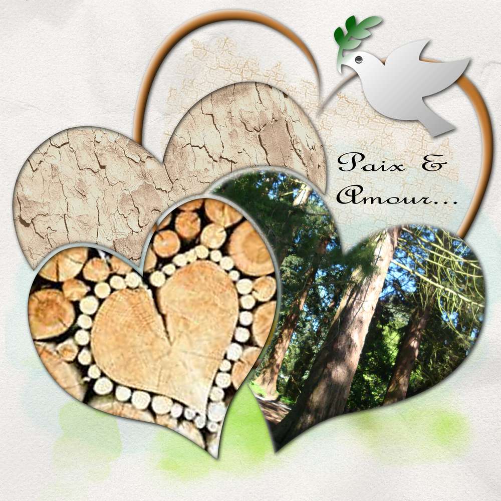 défi_photo_proposée_coeur_Gilberte