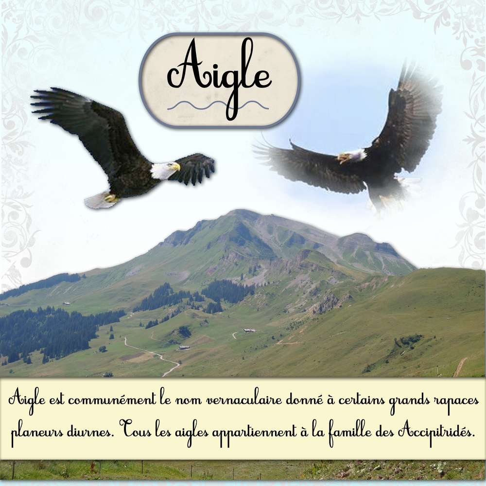 défi_rapace_Corinne