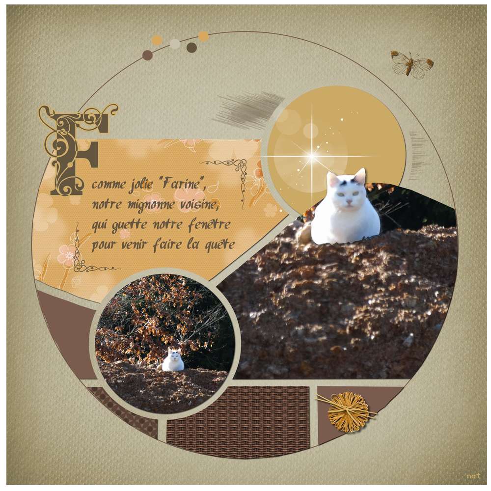 defi_ronds_martinas_