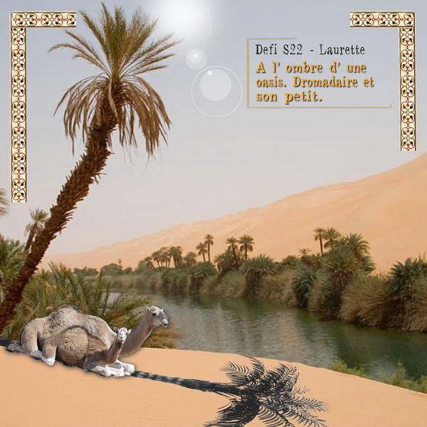 defi_S22_Laurette_Realisation_du_29-05-14