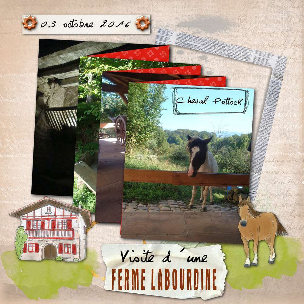 défi_scraplift_carnet_giecat