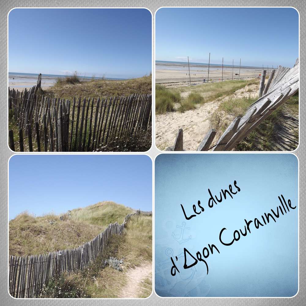 défi_scraplift_Giec