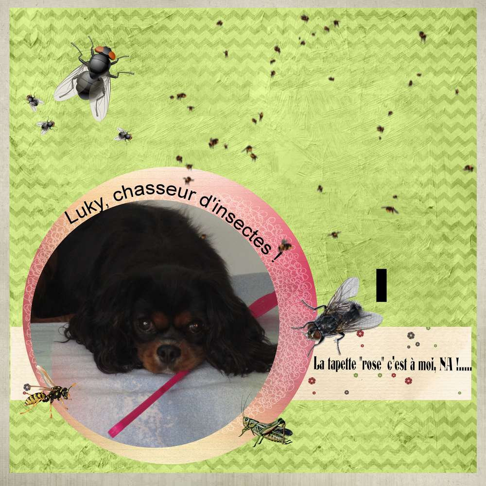 défi_Scraplift_Giecat