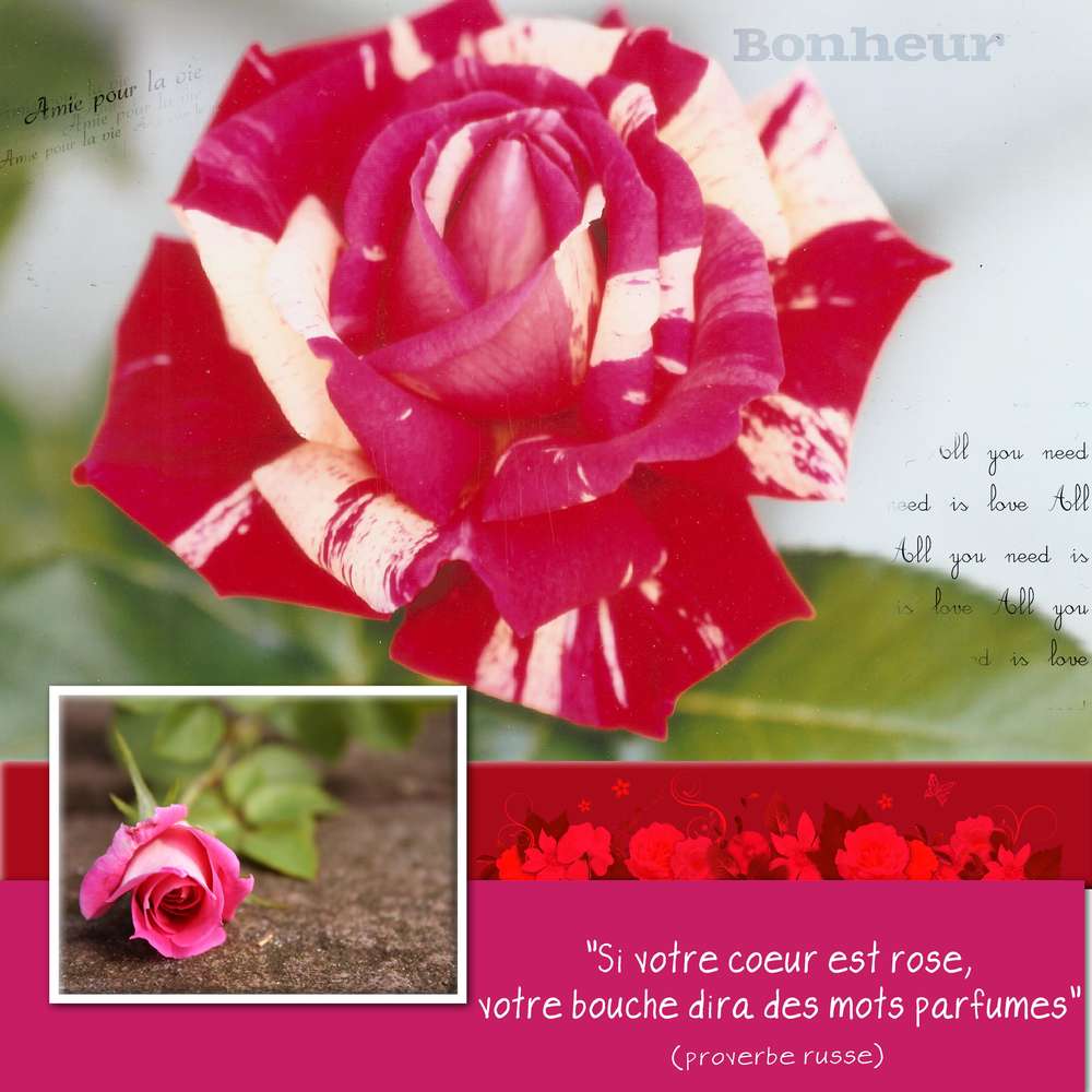 defi_scrapliftGilberte