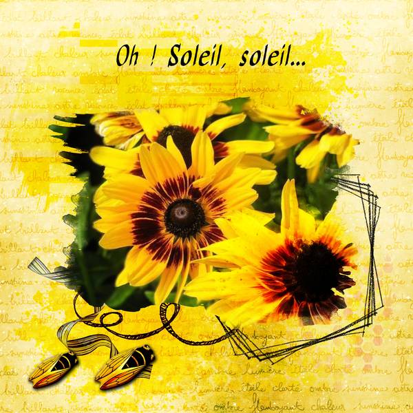 défi_soleil_Giecat.