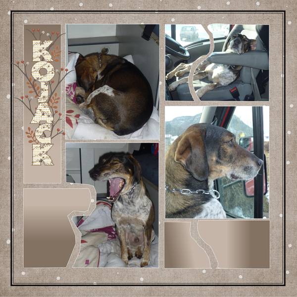 defi_template_animal_Kinouliline