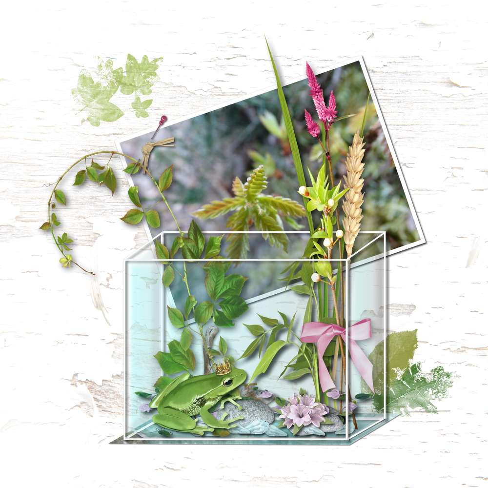 defi_transparence__page_1_