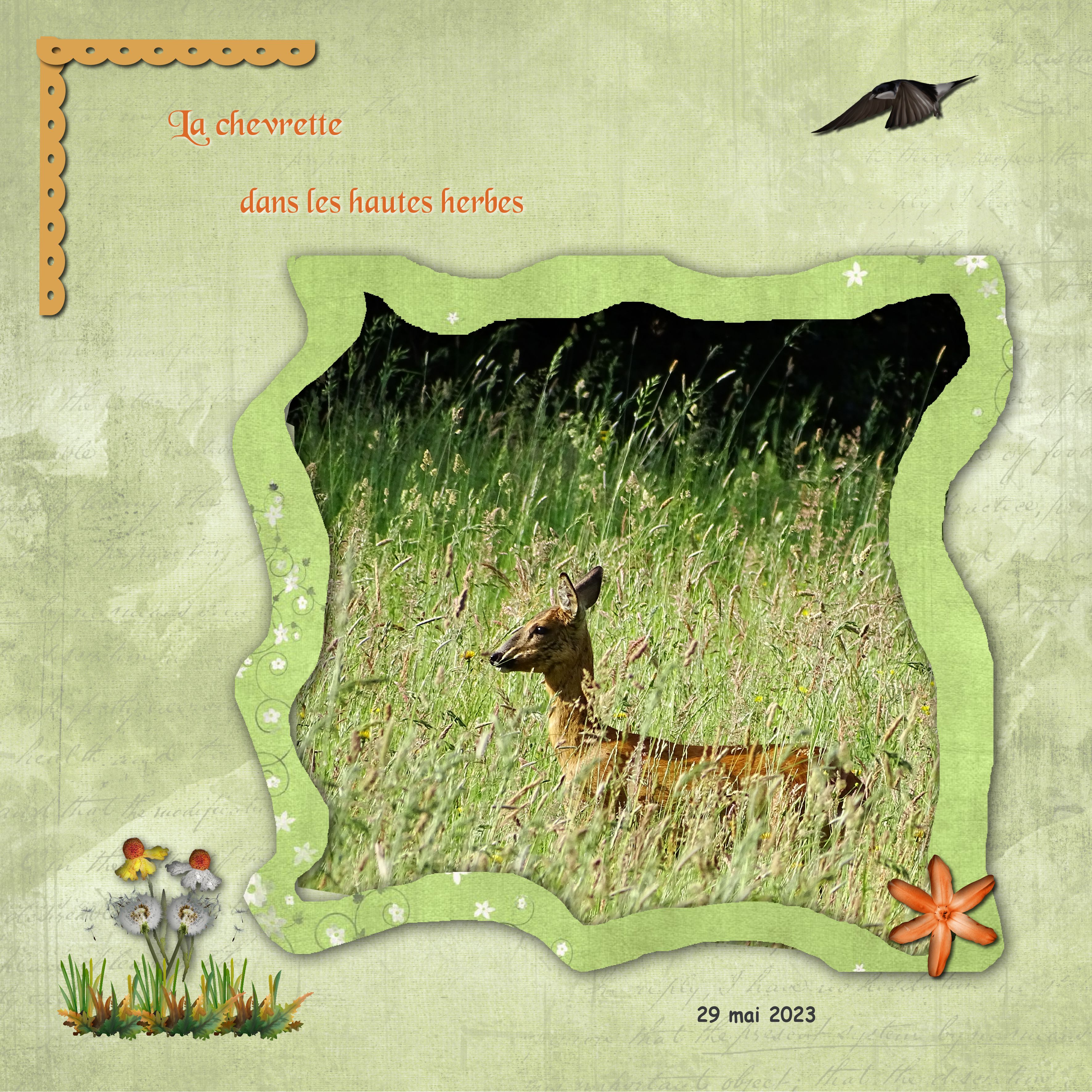 Déficadre Mamyrose Mai 2023.jpg