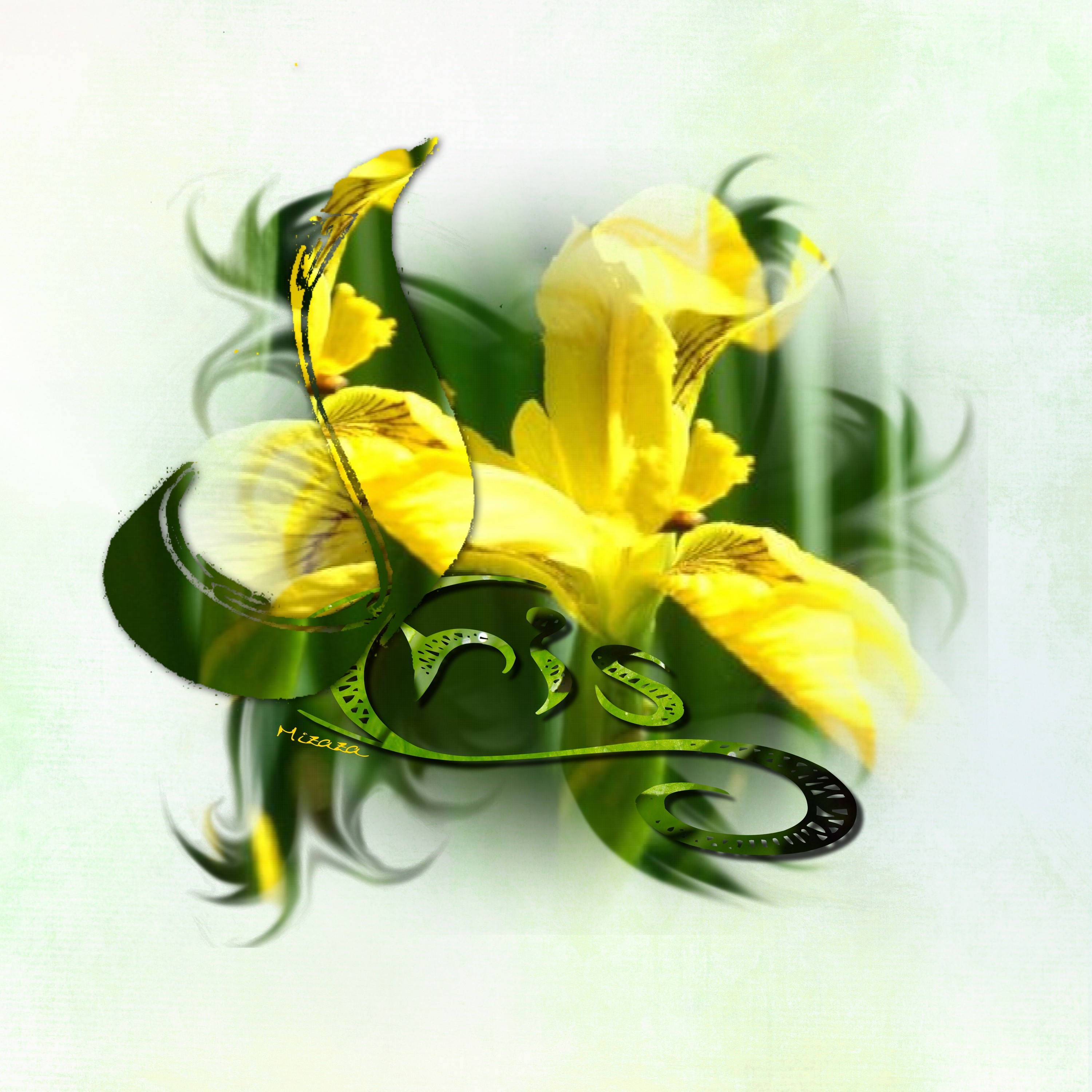 deficlean- iris -tout perso.jpg