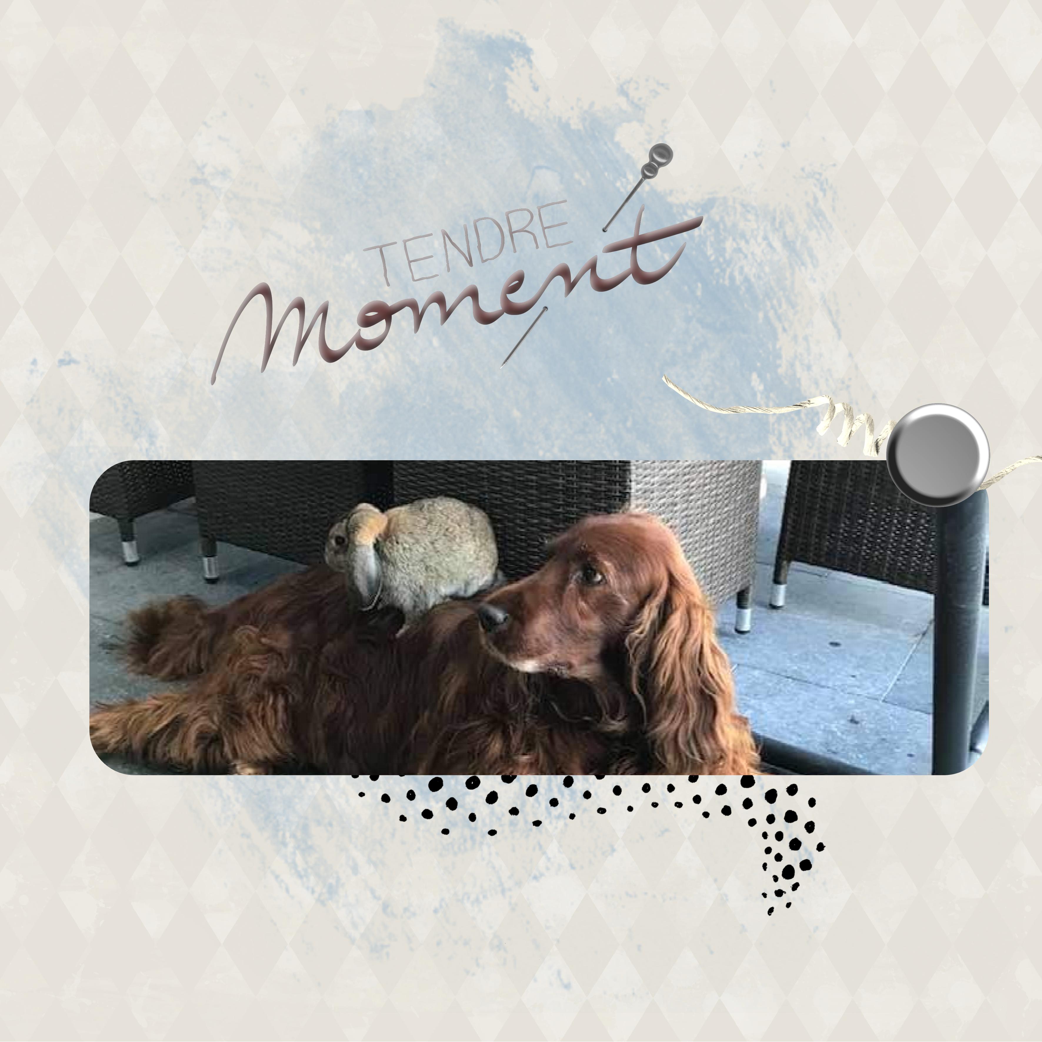 défiélémentsstudioscrap0910