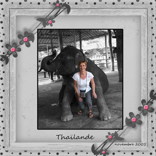 DEFILAURETTESEMAINE4