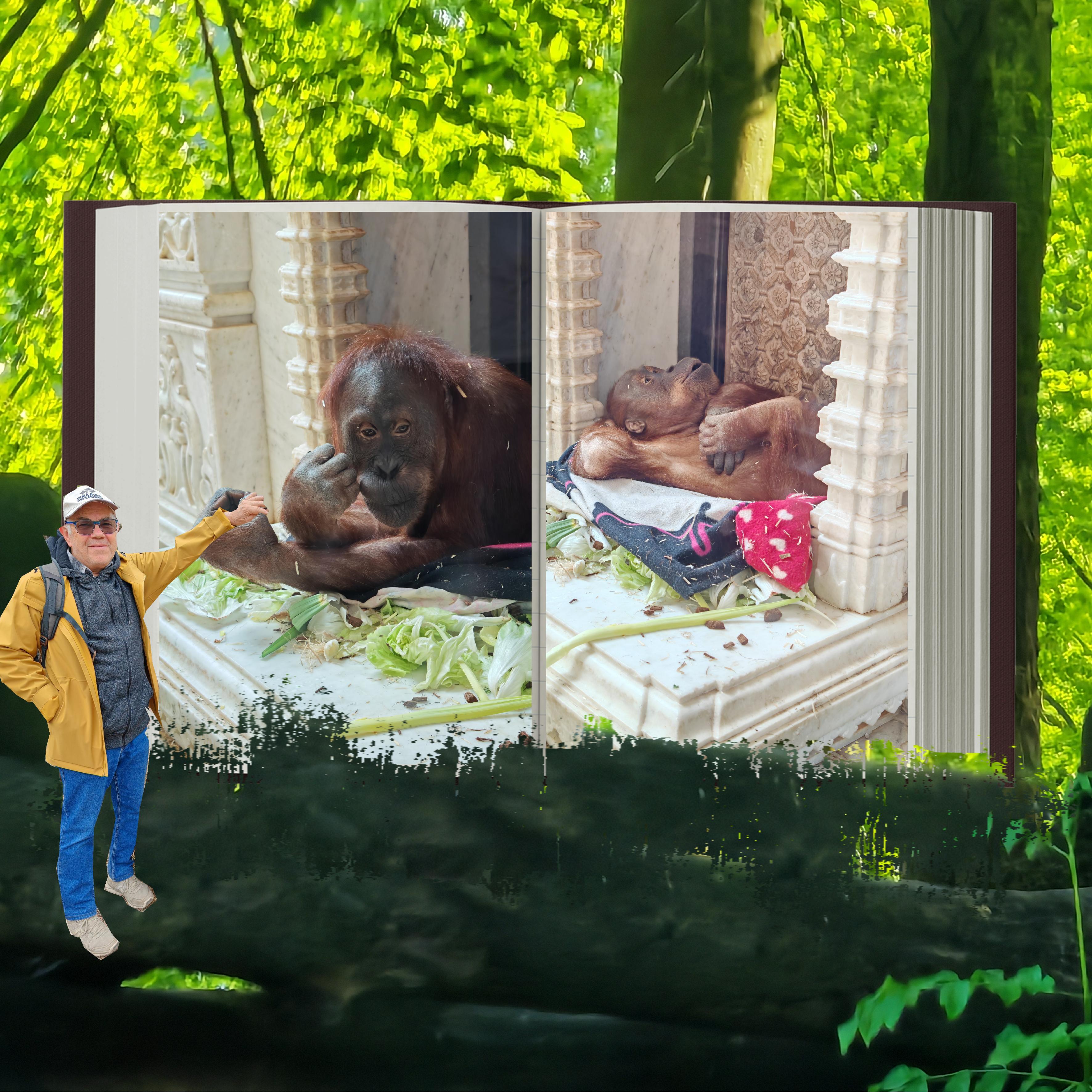 Défilift 01 05 2025 (page 5).jpg