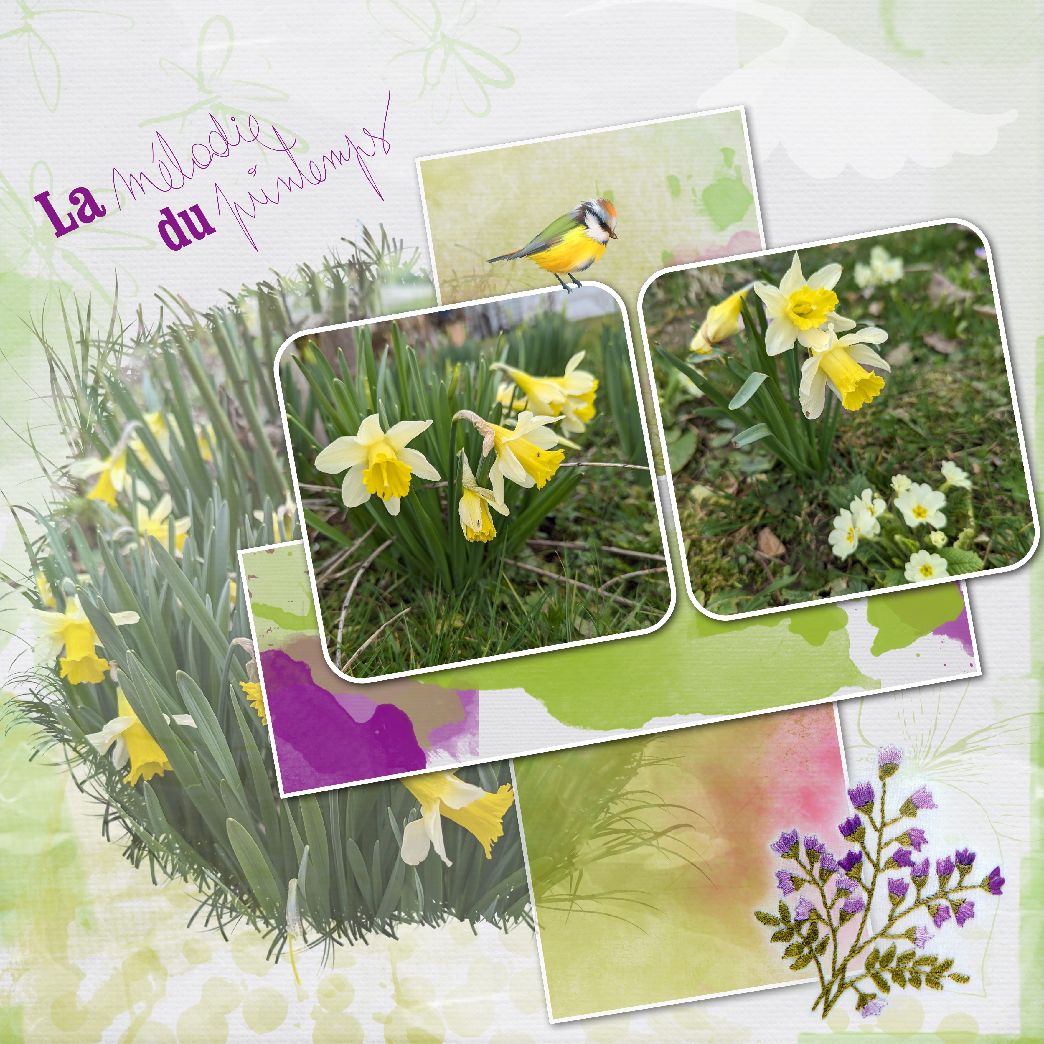 defilift fevrier 24.jpg