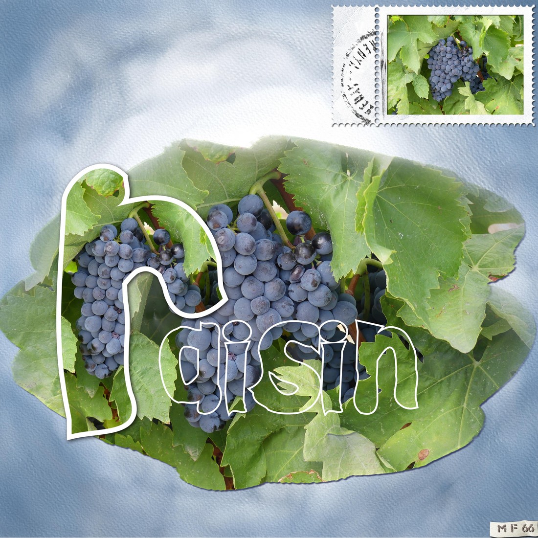 defilift08 marierose.jpg