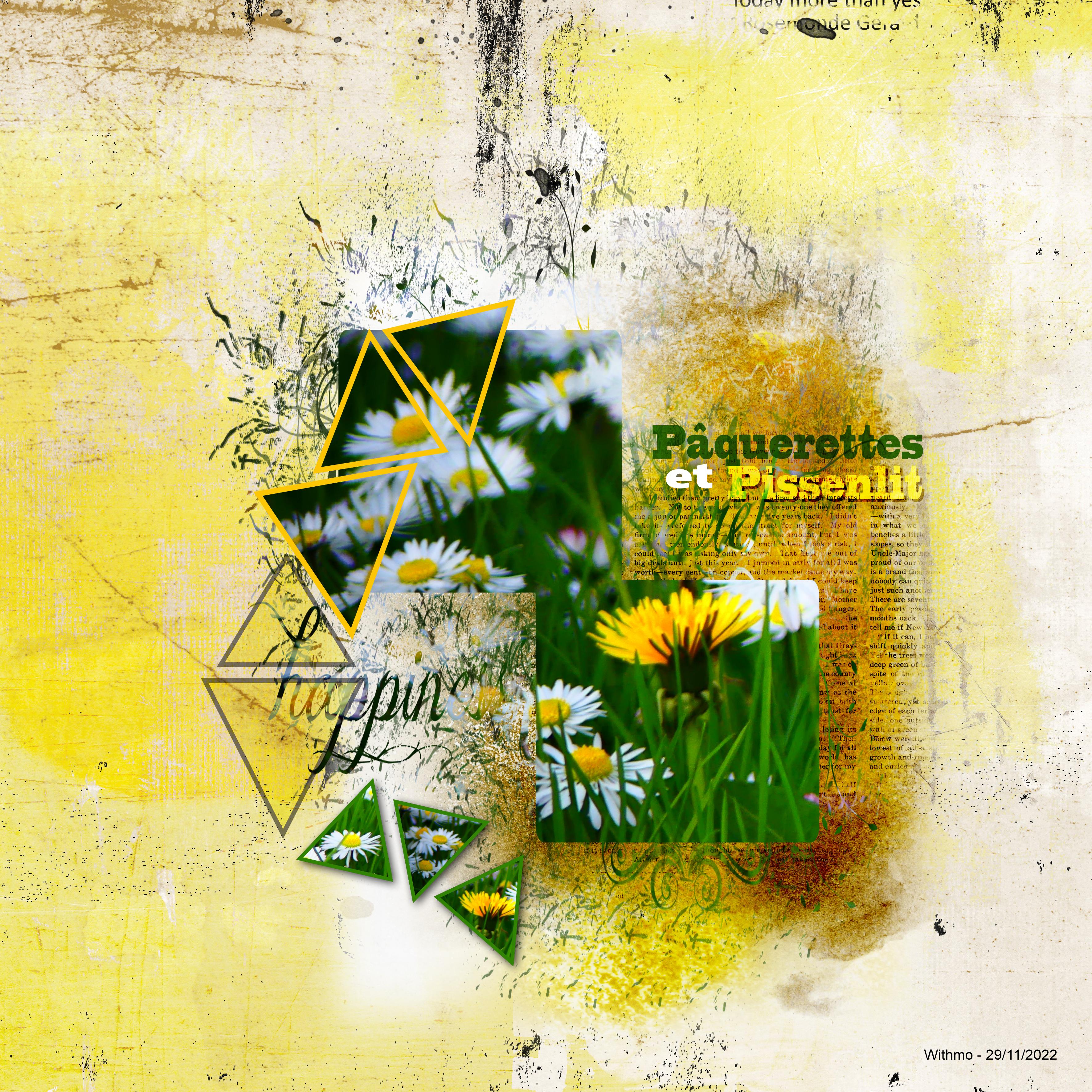 defilift11 marie rose-pâquerettes et pissenlit.jpg