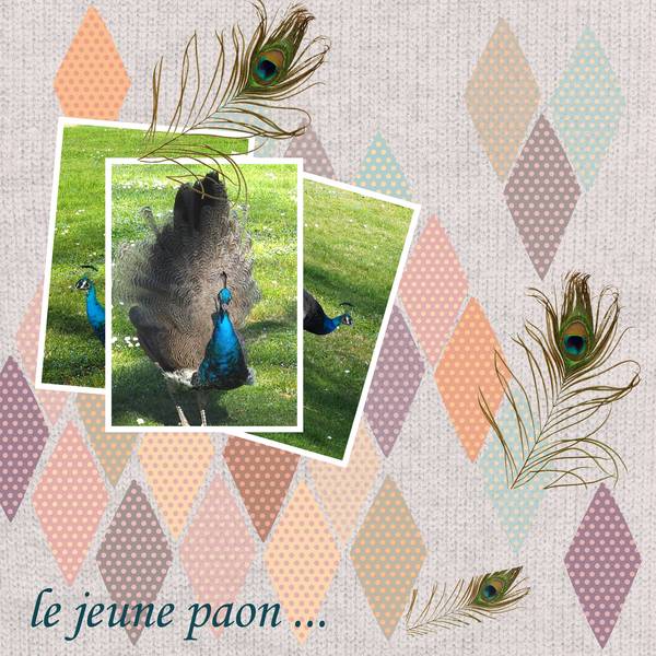 DEFIMIMISCRAPLITF-paon-2