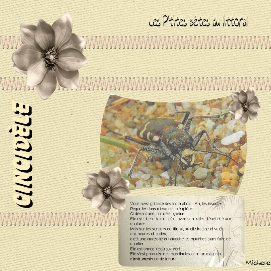 défis beige  MARTINAS