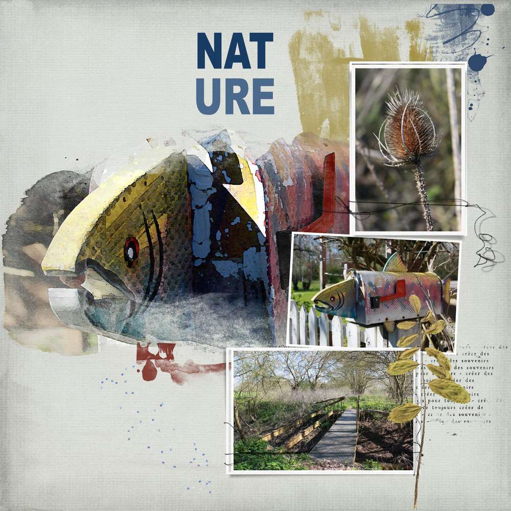 defis poissons et l'art